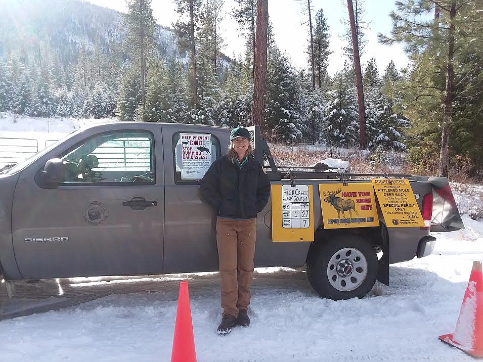 Montana Fish, Wildlife & Parks Region 2 wildlife biologist Liz Bradley has been checking deer at the Fish Creek station. (Monte Turner/Mineral Independent)