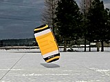 If you like snow, you'll love this