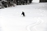 Skiers, here's the latest