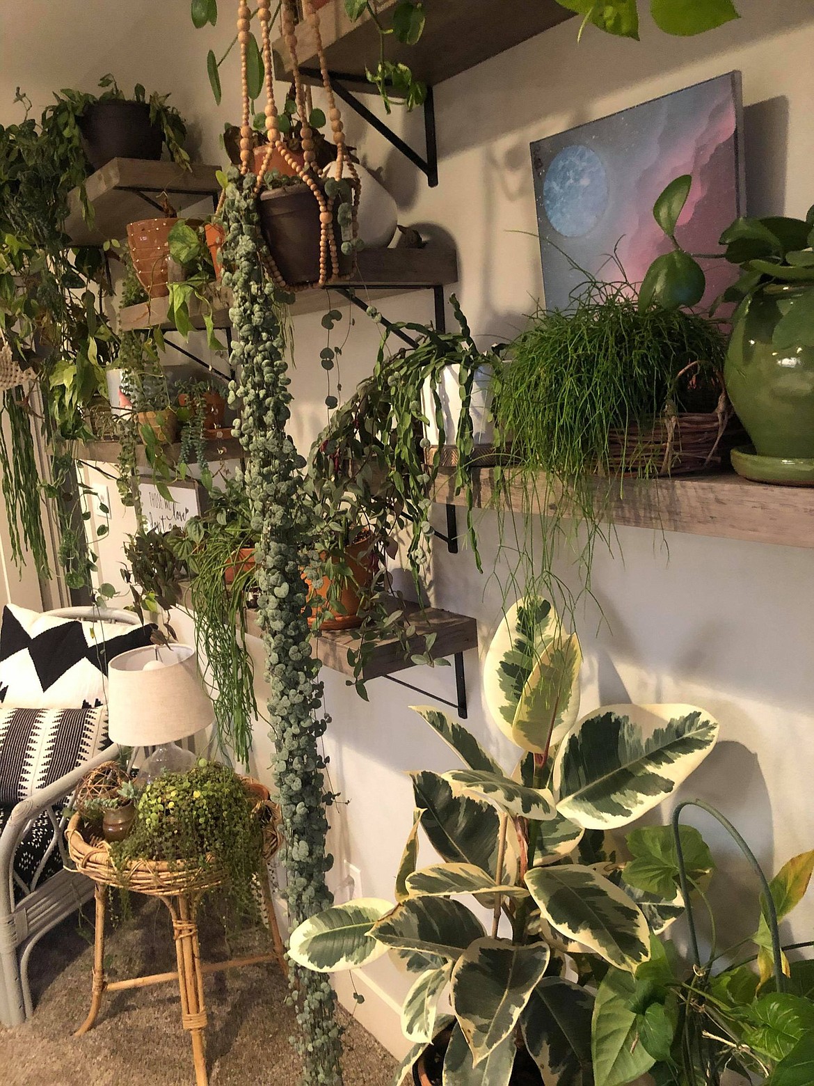 A view of some of Ekko Nash's collection of houseplants inside her home in Moses Lake.