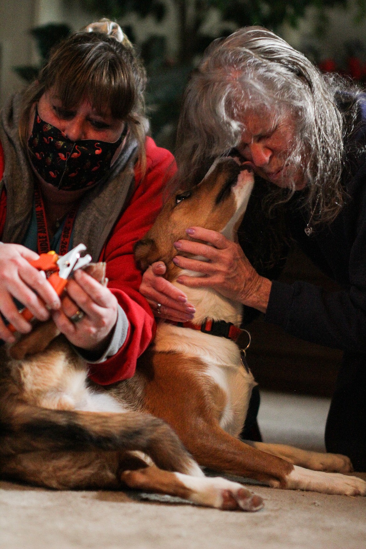 Cricket the dog licks her owner, Bobbe Komanec, while Kendra Dodge clips her nails Tuesday afternoon.