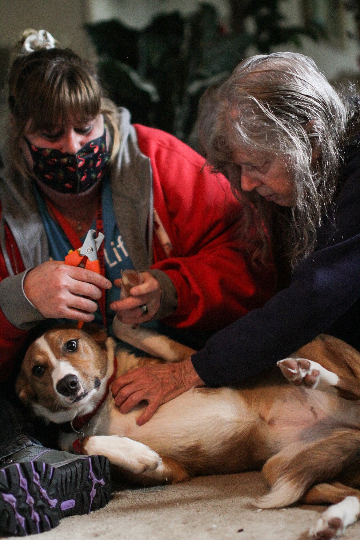 Bobbe Komanec  helps hold down her dog, Cricket, as Kendra Dodge clips her nails Tuesday afternoon in Clark Fork.
