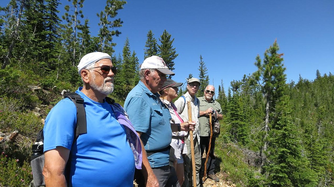 Monte Turner (at the far end of the line) with other intrepid Healthy, Happy Hikers on the trail above Bonanza Lakes: from left, Jay Gore, Jim Cyr, Kathy Woodford, Doug Austin, Monte Turner. (Bert Lindler photo)