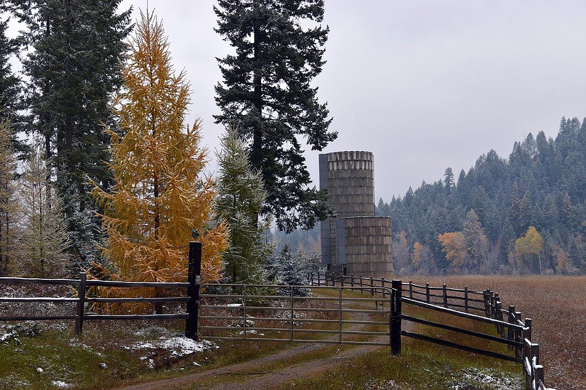 Robert Kalberg captured this beautiful fall shot in the Herman Lake Road area during a recent “adventure drive.”