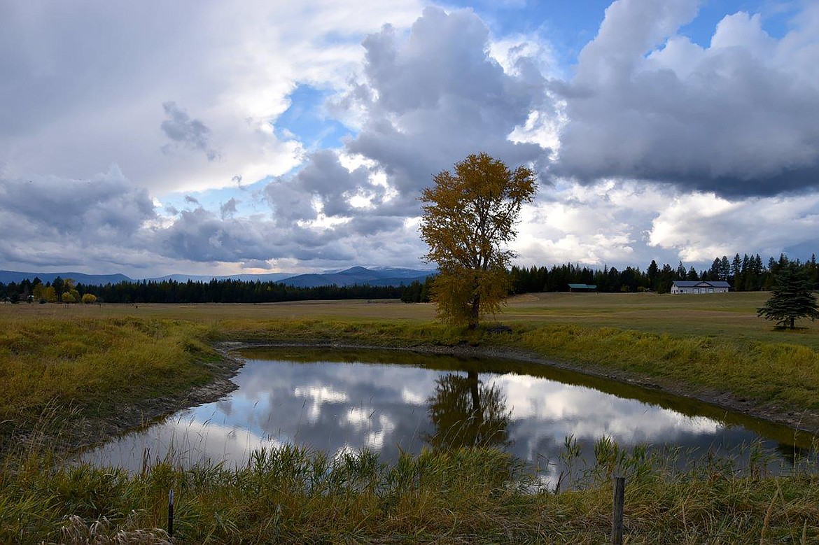 Robert Kalberg captured this beautiful fall shot in the Paradise Valley Road area during a recent “adventure drive.”