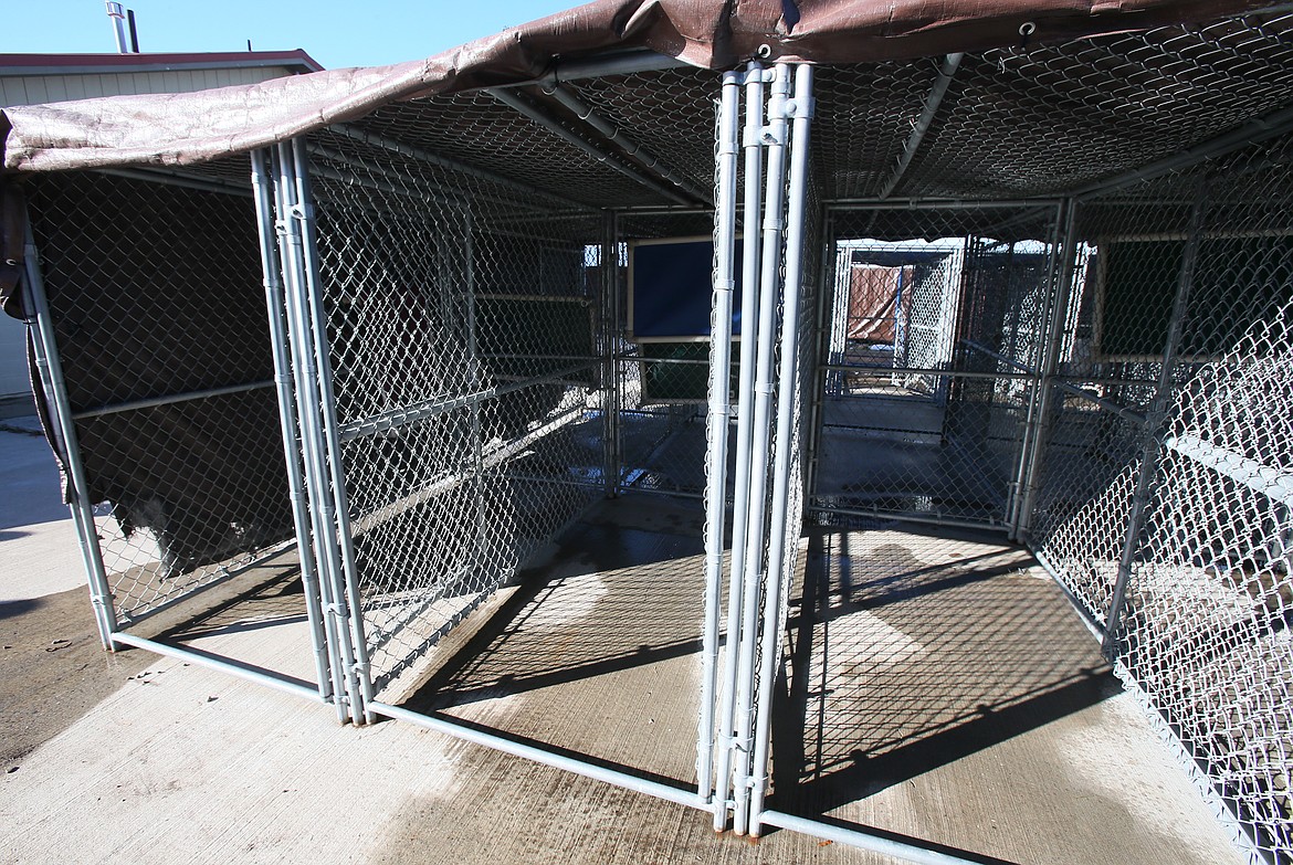 These outdoor chain-link kennels at Kootenai Humane Society are the only area where dogs can be kept as the indoor kennels are cleaned, even when it's freezing outside. A new shelter would provide twice the capacity and give more room to house and care for abused, abandoned and injured animals waiting for their forever homes.