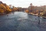 More steelhead released in Boise River