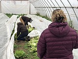 Lessons in growing: Ephrata farm teaches, gives back and sinks in