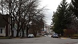 Near the downtown holiday lights