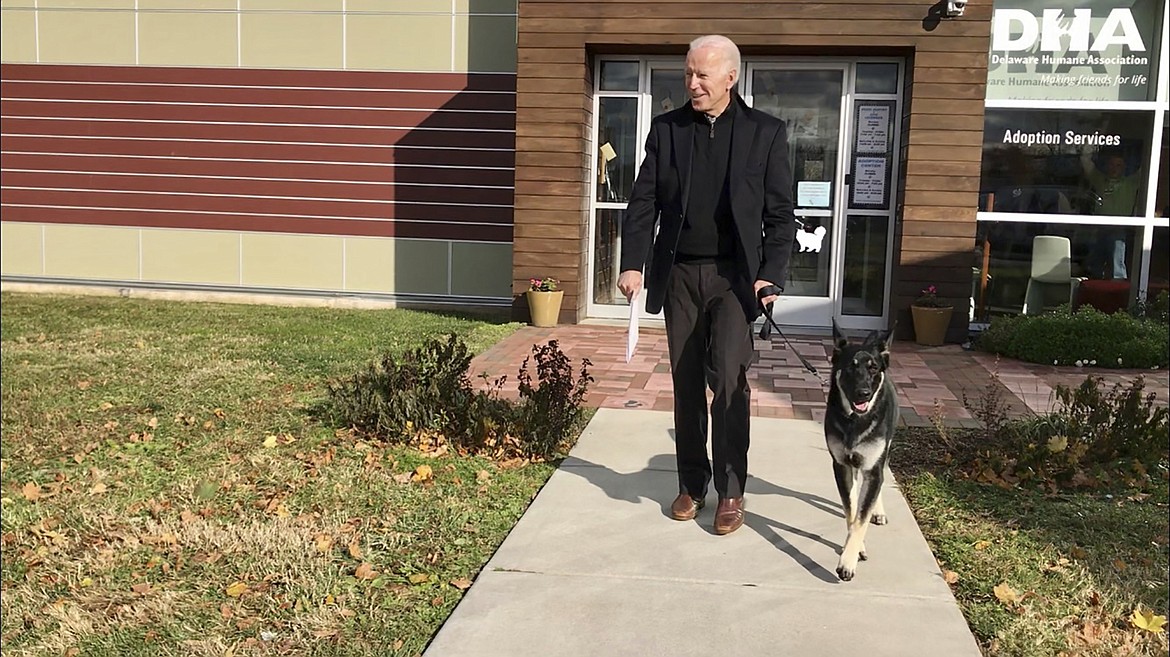 This Nov. 16, 2018, photo, file provided by the Delaware Humane Association shows Joe Biden and his newly-adopted German shepherd Major, in Wilmington, Del. President-elect Biden will likely wear a walking boot for the next several weeks as he recovers from breaking his right foot while playing with his dog Major on Saturday, Nov. 28, 2020, his doctor said.