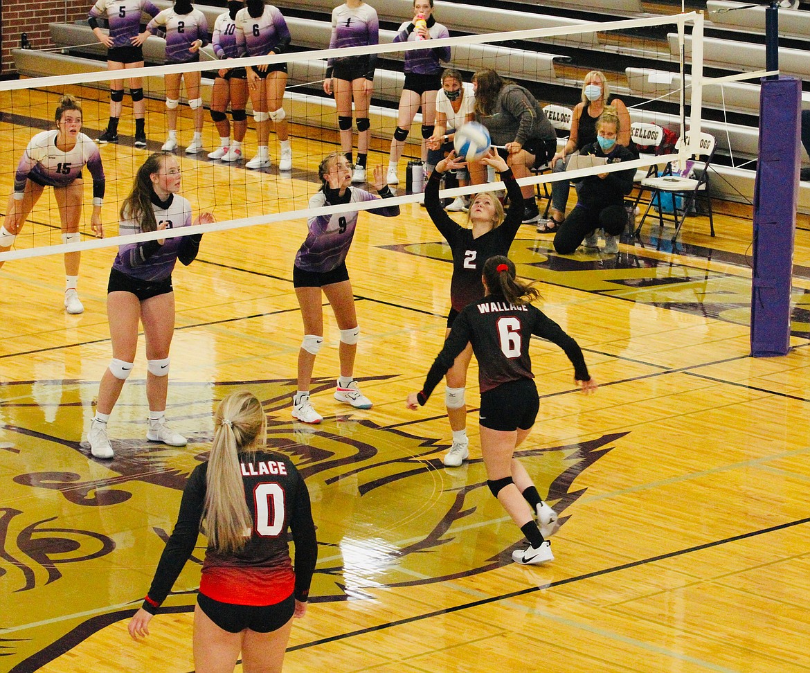 Wallace's Riley Valley (setting the ball) was named Scenic Idaho Conference MVP for her work  during the 2020 volleyball season. Kellogg's Maddie Cheney and sister Hailey Cheney were Intermountain League all-league selections with Hailey being named co-MVP of the league.