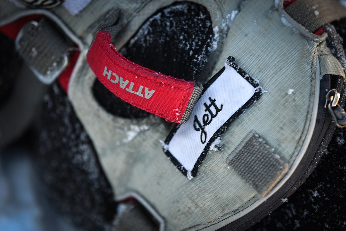 Jett's nametag on his safety harness outside Whitefish Mountain Resort on Wednesday, Dec. 3. (Casey Kreider/Daily Inter Lake)