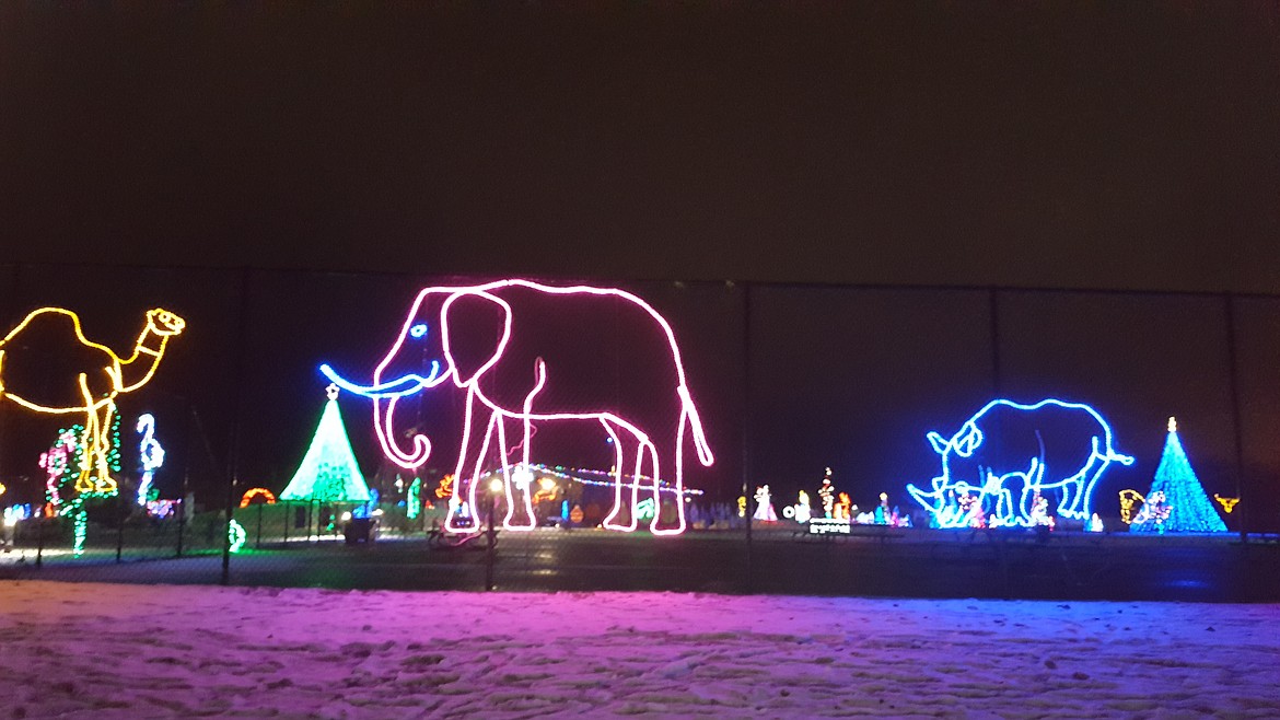 Lights at the Winter Glow spectacular near Orchard Park.
