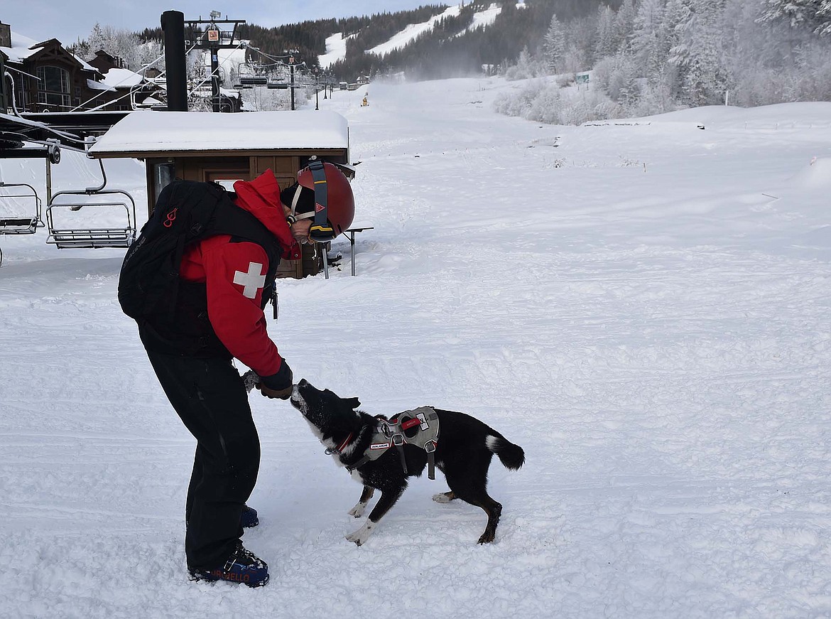 Lloyd Morsett, snow safety director at Whitefish Mountain Resort, plays with his dog, Jett, a certified avalanche search and rescue dog. (Heidi Desch/Whitefish Pilot)(Heidi Desch/Whitefish Pilot)