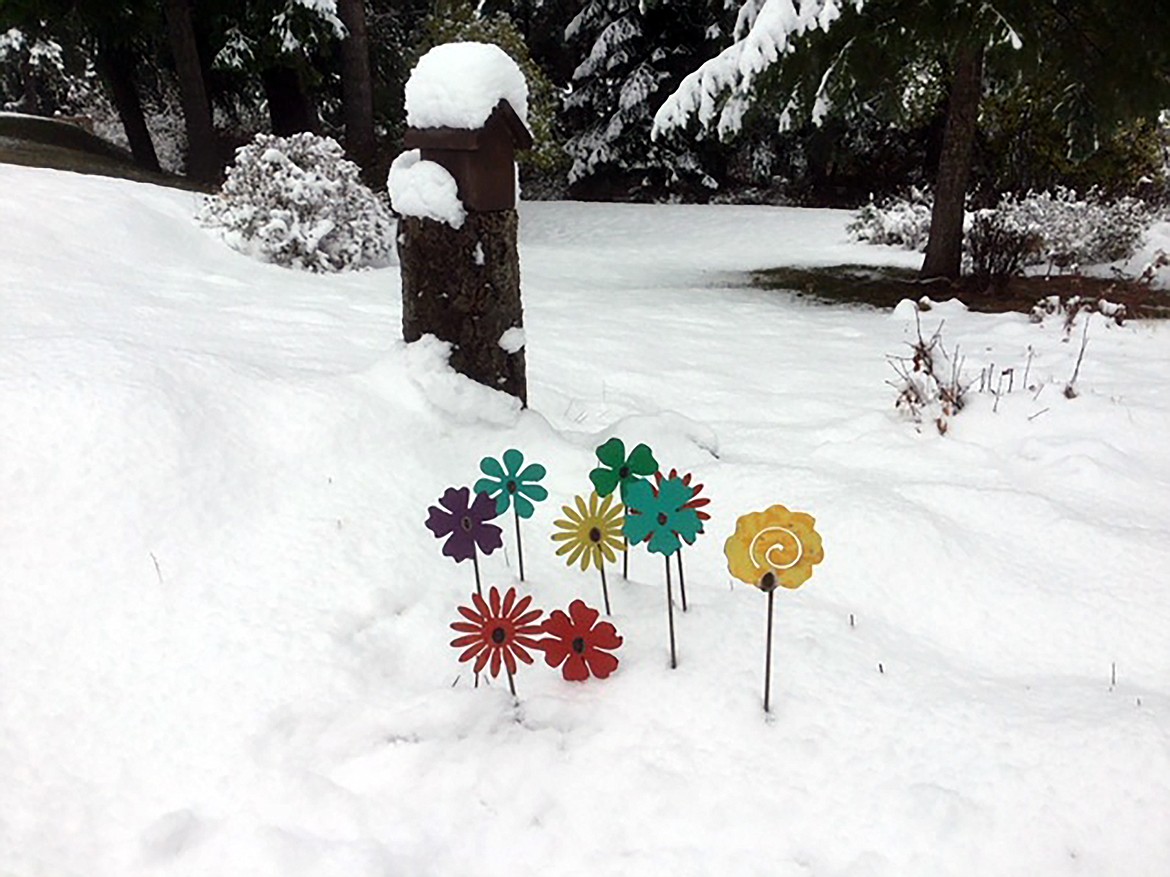 Margie Corcoran of Sagle captured this fun Best Shot in early November of blossoms in the snow. If you have a photo that you took that you would like to see run as a Best Shot or I Took The Bee send it in to the Bonner County Daily Bee, P.O. Box 159, Sandpoint, Idaho, 83864; or drop them off at 310 Church St., Sandpoint. You may also email your pictures in to the Bonner County Daily Bee along with your name, caption information, hometown and phone number to bcdailybee@bonnercountydailybee.com.