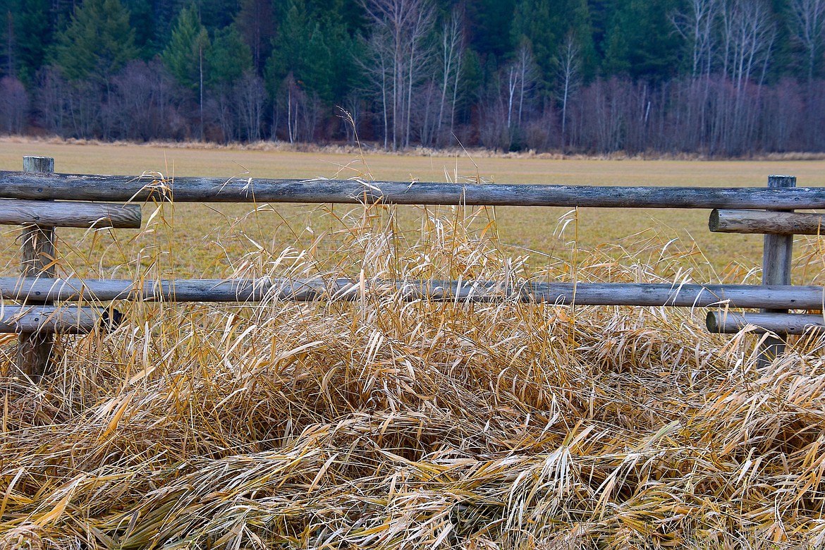 On a recent "adventure drive," Robert Kalberg couldn't resist capturing this photo. "I thought it was the epitome of country living, which we’re all so blessed to have here in Boundary County," he wrote in sharing the photo.