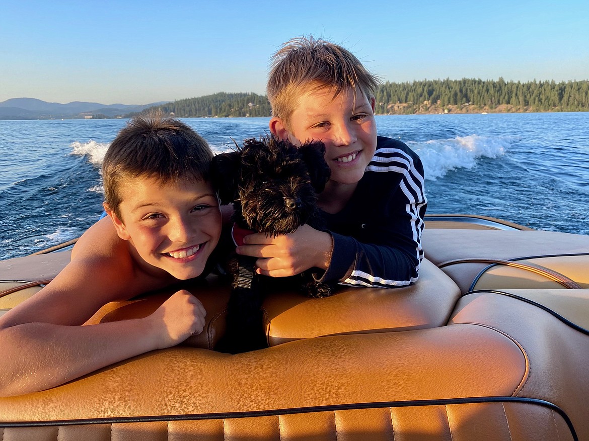 Mason Poole, 8, left, and brother Walker, 11, are seen here with their Yorkipoo, Max, last summer. Max went missing Dec. 7 and the boys are devastated. The family is offering a $1,000 reward for Max's return.
