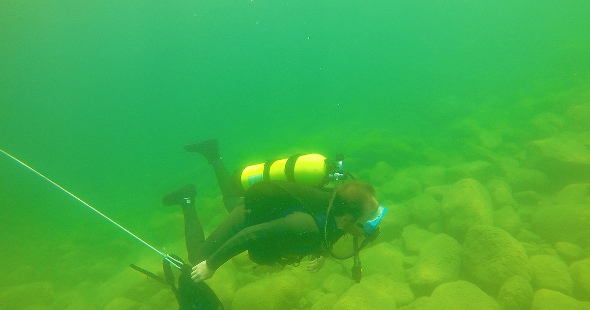 Flathead Lake bio station plays key role in climate change lake study ...