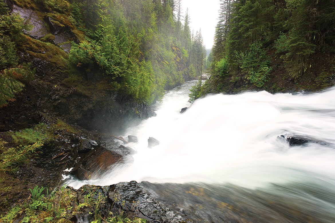 Camas Falls forms a natural barrier between Rogers and Trout Lake. Below the falls, Rogers Lake and Camas Creek contain hybrid westslope cutthroat — cross between the cutts and rainbow trout. (Chris Peterson photo)