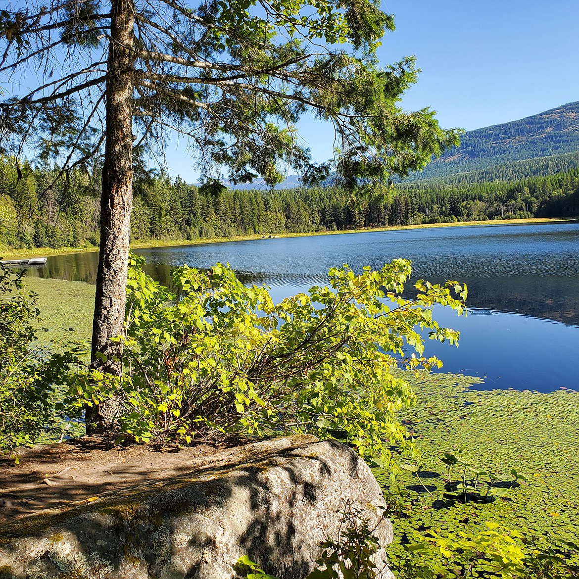 Summer: The view at the south-west end of Brush Lake.