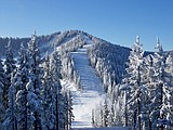 Live to ski: Checking in on Kellogg