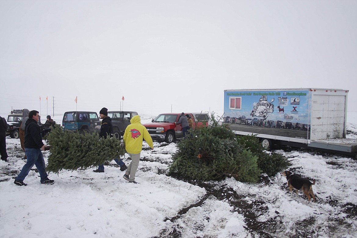 Participants drag Christmas trees to be burned at the Sand Scorpions' event on New Year's Day.