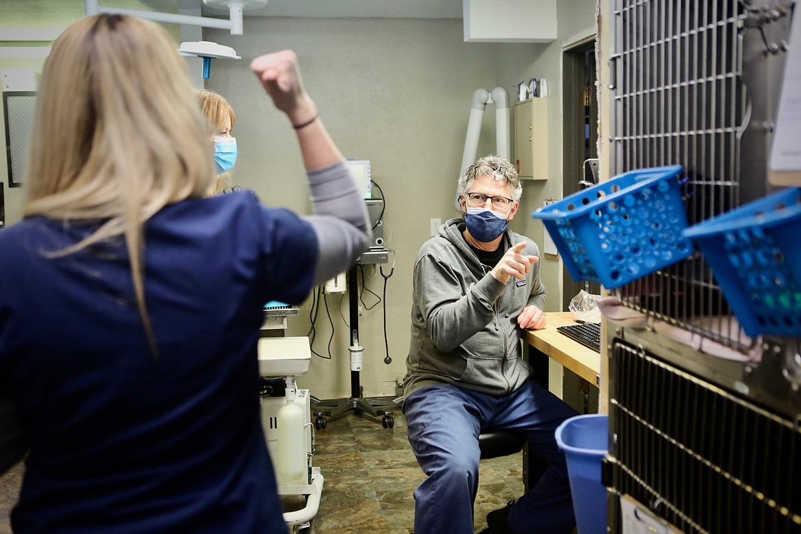 Veterinarian Dr. Jim Thompson consults with his vet techs over an x-ray at the Bigfork Animal Hospital.
Mackenzie Reiss