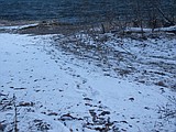 Mid-winter ecology class announced
