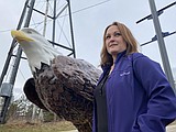 The eagle has landed