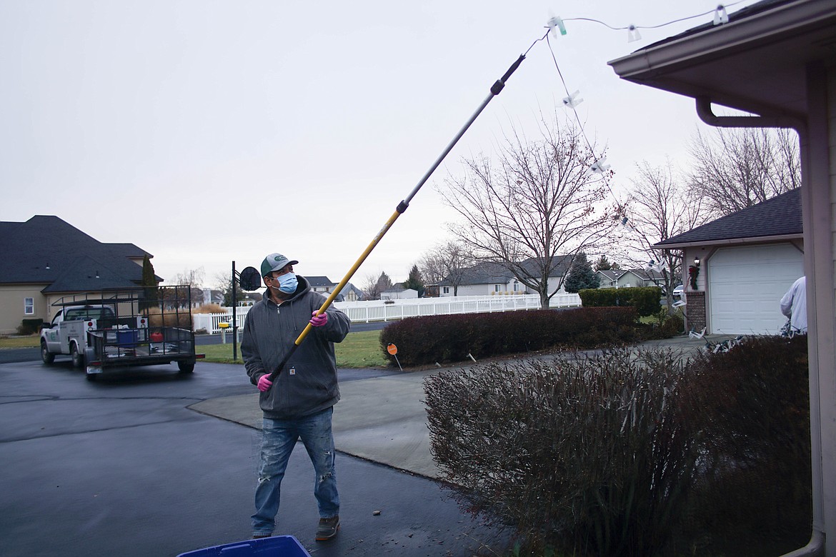 Rene Ramirez of Tatum Lawn Care takes down lights after the holidays.