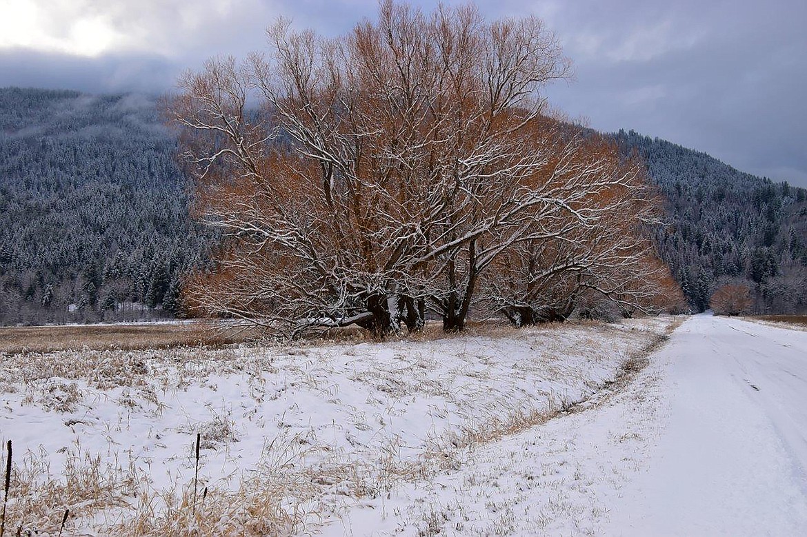 Local photographer Robert Kalberg captured this winter scene recently.