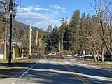 Fallen tree closes Highway 41 in Rathdrum