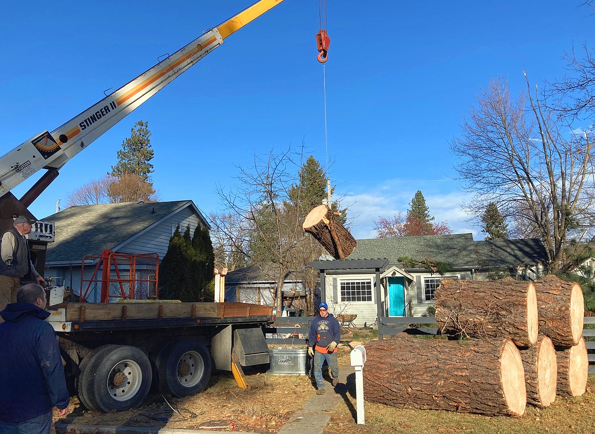 Mike James with West Valley Contractors leaves the front yard of a Coeur d'Alene home where a crew was removing a fallen tree Wednesday.