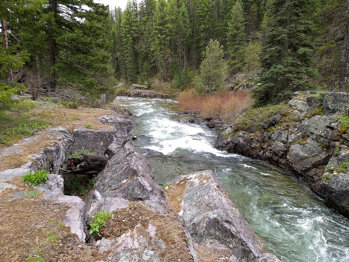 A conservation easement along the Stillwater River near Olney will permanently protect 1,072 acres. F.H. Stoltze Land & Lumber Company will own and manage the property, while the Flathead Land Trust holds the conservation easement. (Photo courtesy of Flathead Land Trust)
