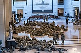 National Guard troops flooding in as Washington locks down