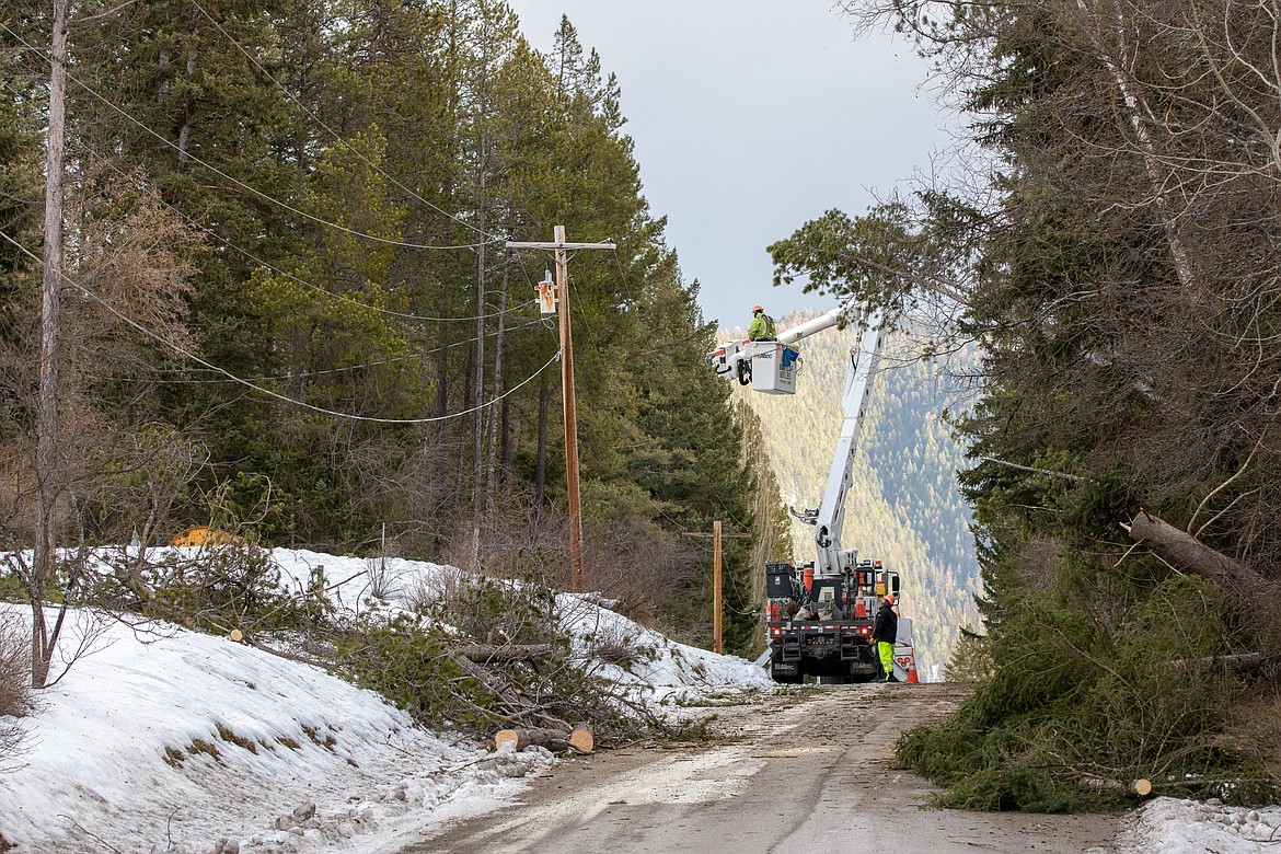 Flathead Electric Co-op crews work to restore power along Seville Lane in Coram on Wednesday, Jan. 14. About 16,000 co-op members were without power Wednesday after a powerful windstorm battered the region. (Sharilyn Fairweather/Flathead Electric)