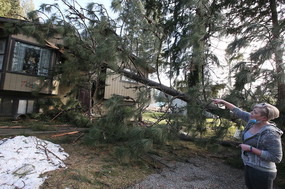 Hayden resident Teresa Parker on Thursday goes over the details of a massive pine landing on her north Government Way home during Windstorm '21. The tree landed in her living room where she had been just moments before strong winds uprooted it and knocked it down.