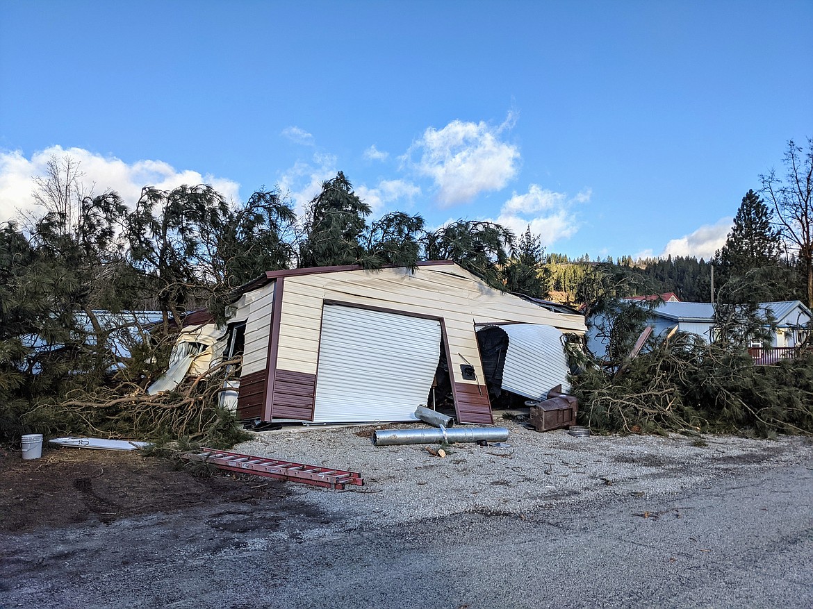 A tree lays on a shop on Fifth Street in Pinehurst. Multiple homes and structures along Fourth and Fifth streets had similar incidents.