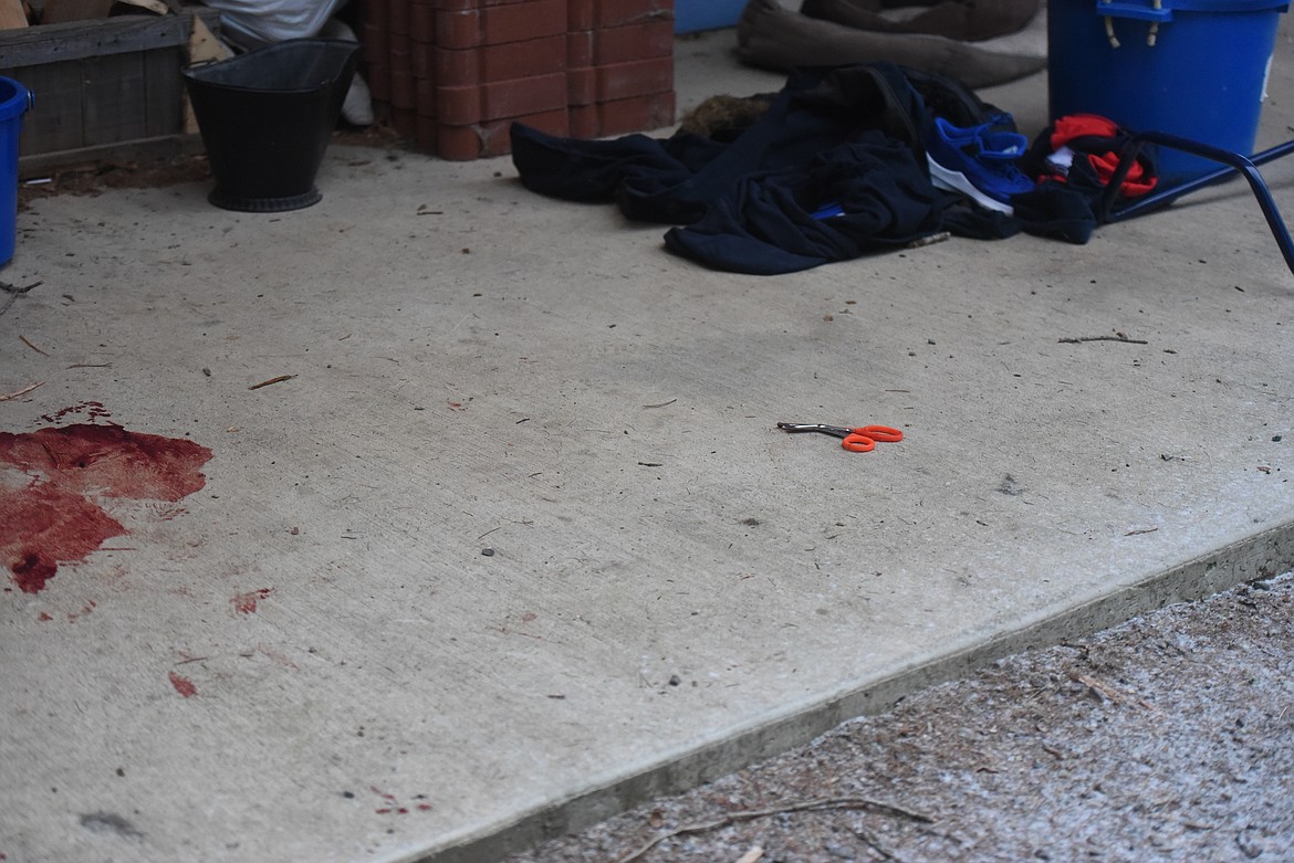 A bloodstain and a discard pair of first responders' shears marked the scene of the Jan. 14 deputy-involved shooting on Fallen Bear Lane. (Will Langhorne/The Western News)