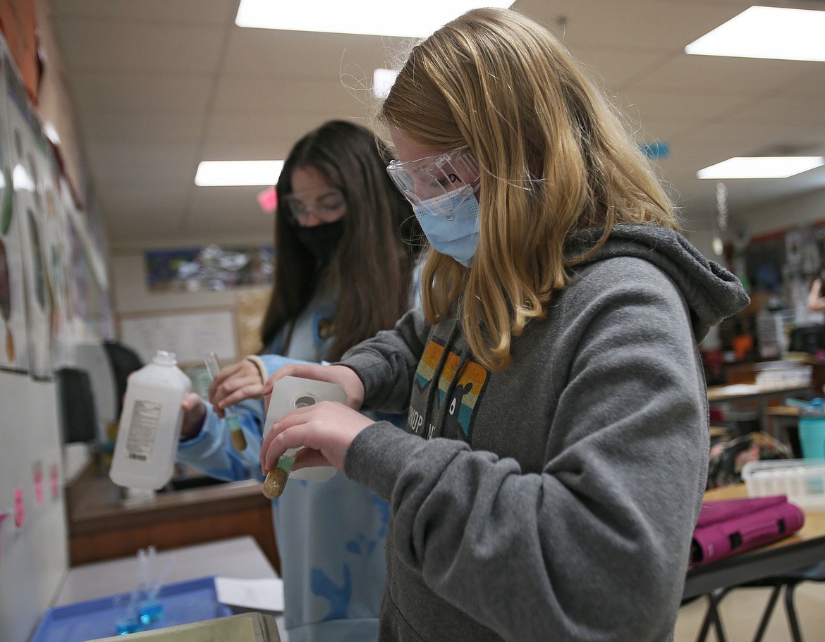 Seventh-graders Sophie Holm, foreground, and Destiny Brodwater add rubbing alcohol to a test tube to draw wheat germ DNA to the top during a life science experiment at Lakes Middle School on Tuesday.