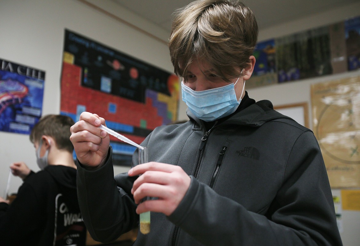 Lakes Middle School seventh-grader Sheen Broncheau drops water into a wheat germ and detergent solution during a lab in Annette Brennan's life science class Tuesday morning.