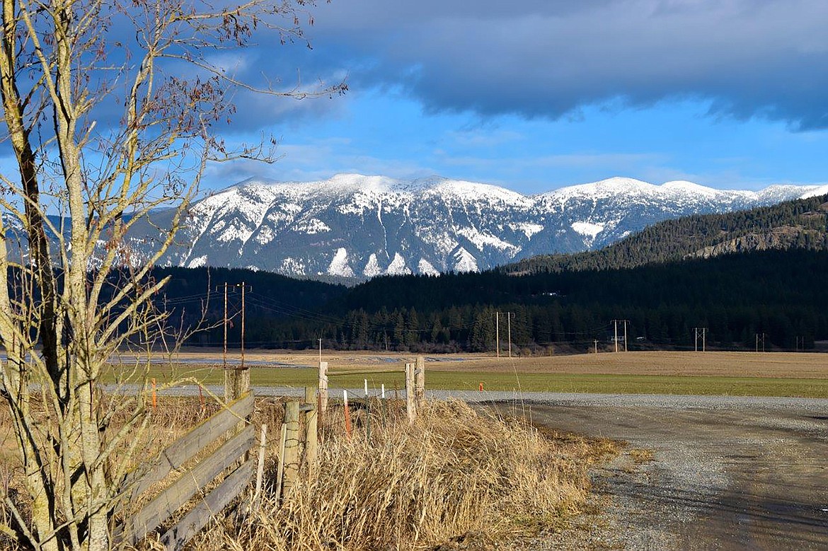 Local photographer Robert Kalberg captured this winter scene on Turkey Hallow Road recently.