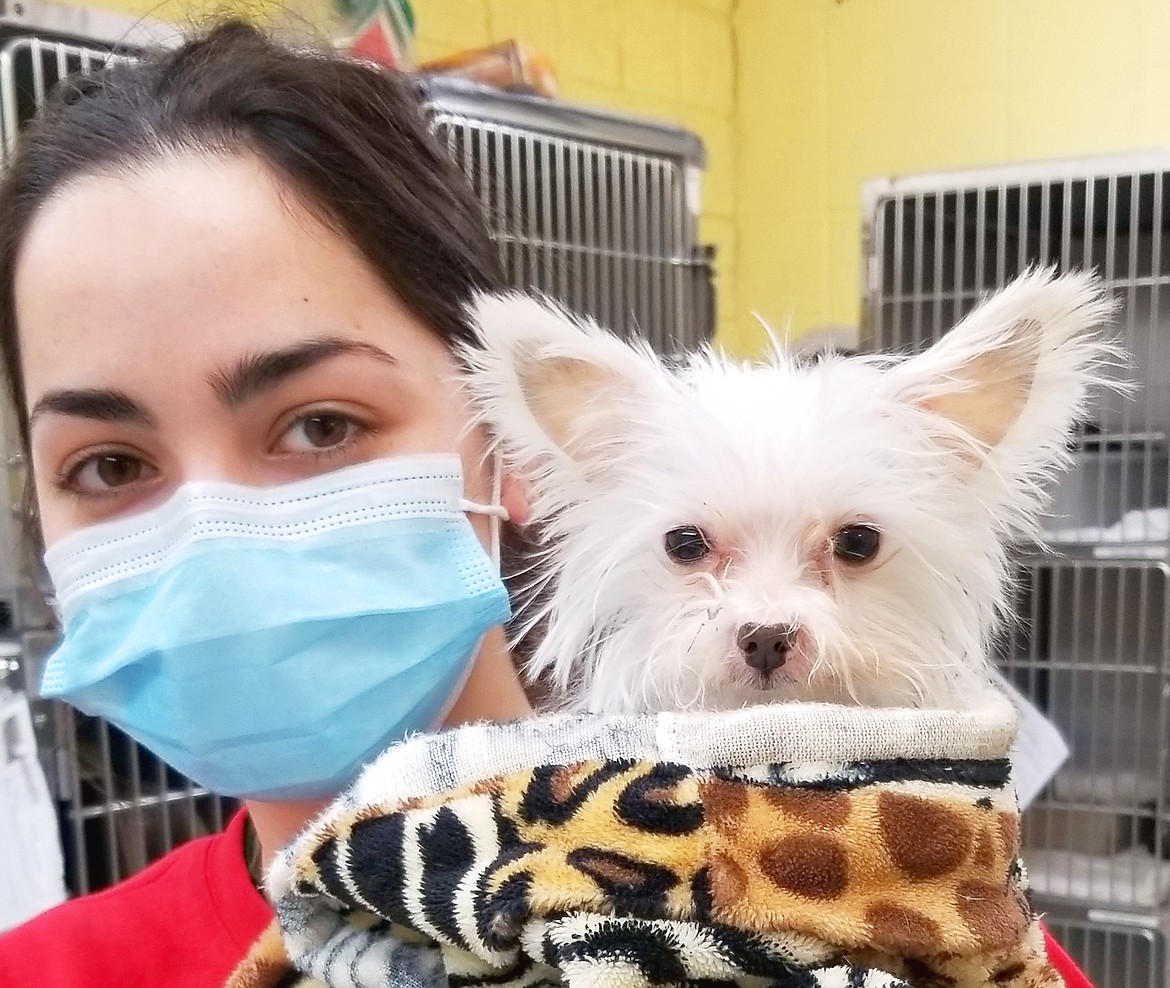 Tessa Moreno, KHS animal technician, poses with Paisley, at the Kootenai Humane Society.