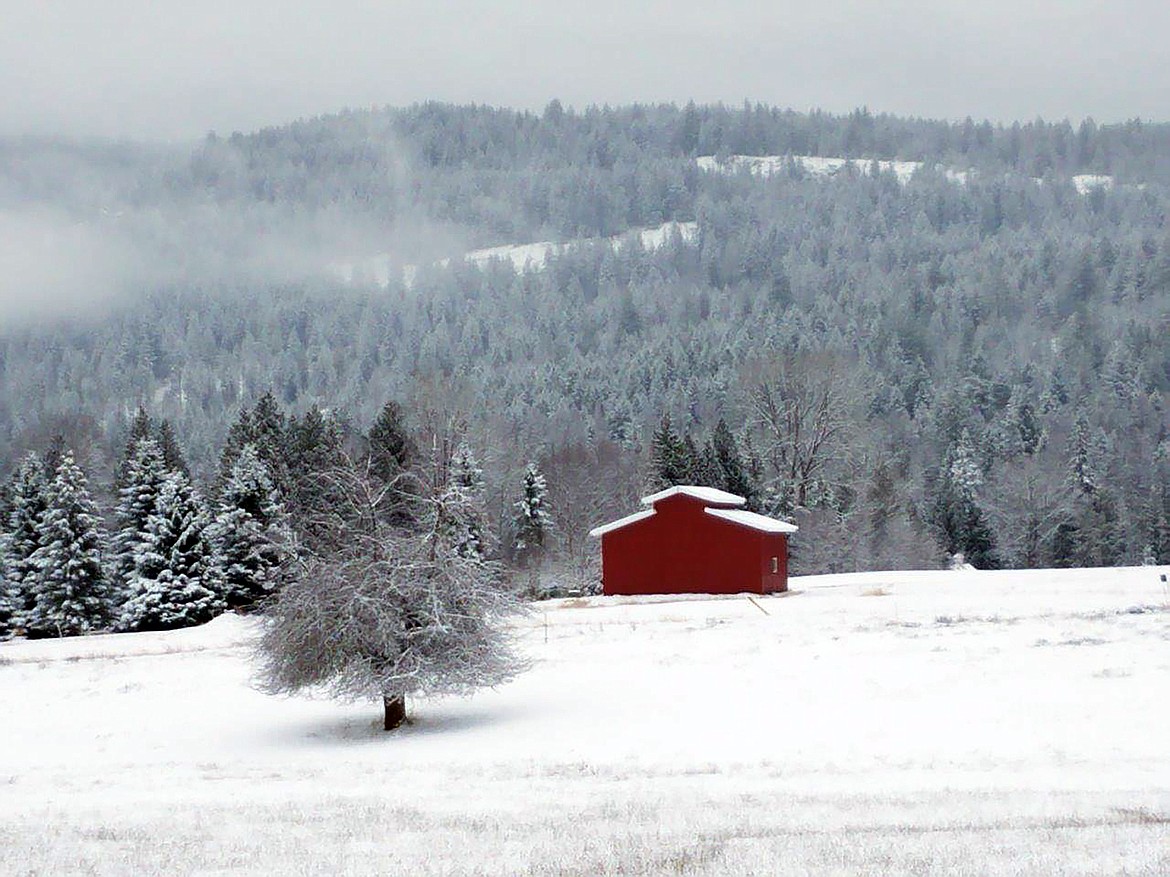 Steve Heilmann captured this Best Shot of a Sagle barn the day after Christmas. If you have a photo that you took that you would like to see run as a Best Shot or I Took The Bee send it in to the Bonner County Daily Bee, P.O. Box 159, Sandpoint, Idaho, 83864; or drop them off at 310 Church St., Sandpoint. You may also email your pictures in to the Bonner County Daily Bee along with your name, caption information, hometown and phone number to bcdailybee@bonnercountydailybee.com.