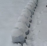 Consider planting your spring garden now