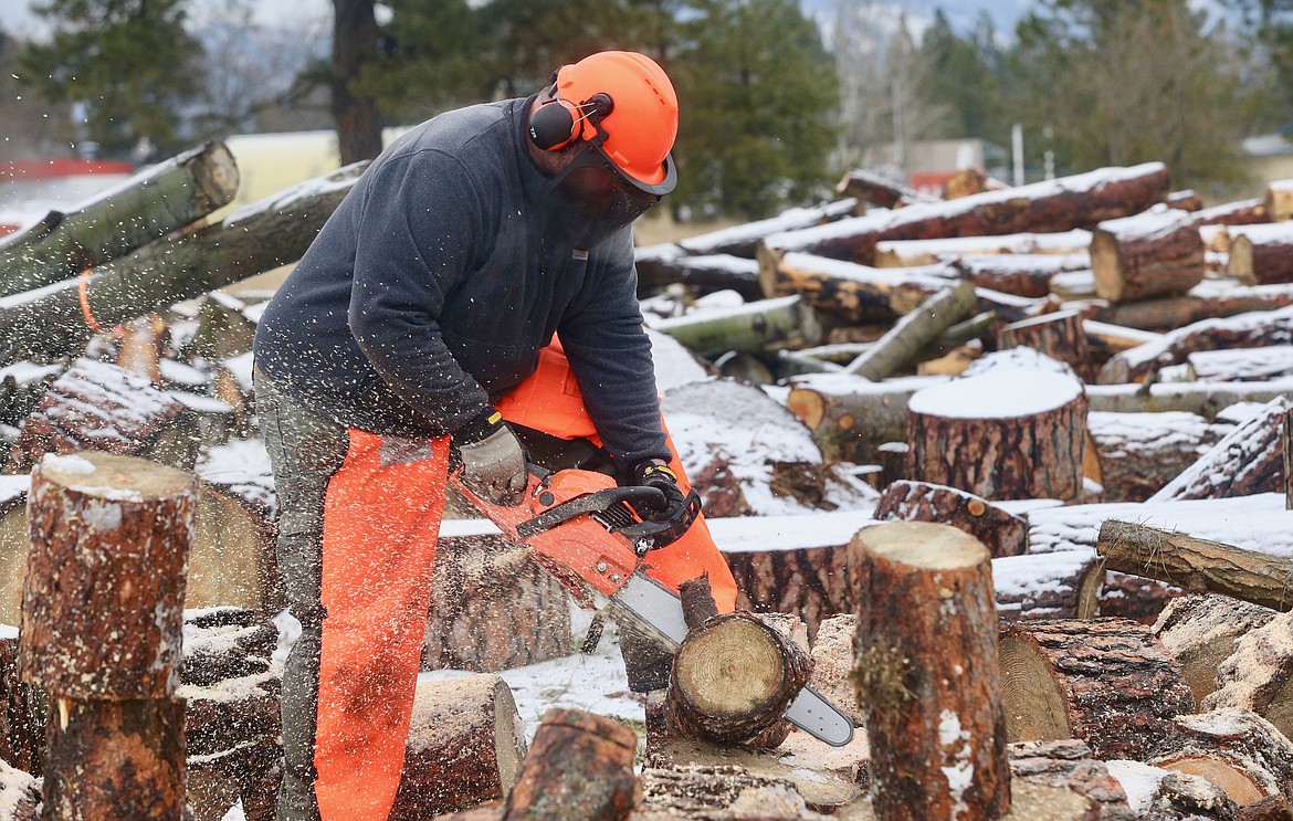 Volunteer Ryan Silakoski uses his chainsaw on Saturday as he cuts logs to be be used for free firewood  for seniors delivered by ElderHelp.