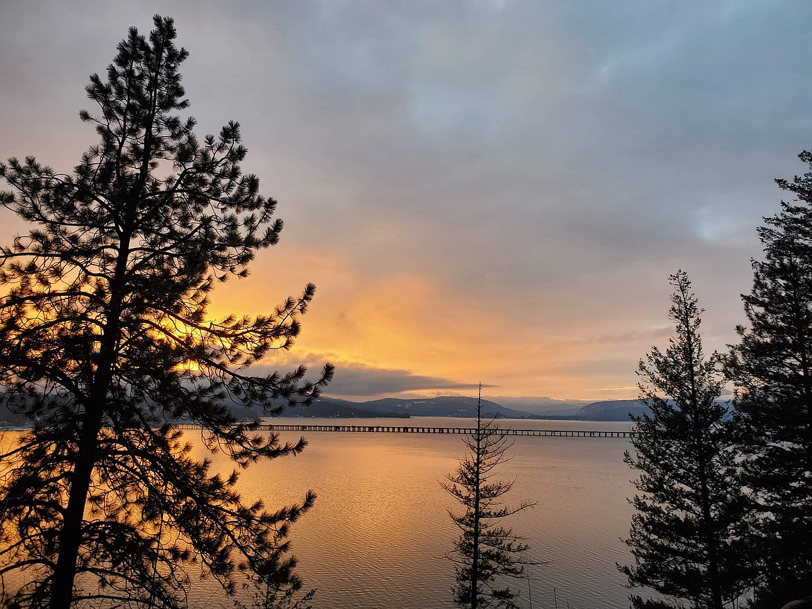 Danielle Harper captured this Best Shot in the Bottle Bay Road area in Sagle in late January. If you have a photo that you took that you would like to see run as a Best Shot or I Took The Bee send it in to the Bonner County Daily Bee, P.O. Box 159, Sandpoint, Idaho, 83864; or drop them off at 310 Church St., Sandpoint. You may also email your pictures in to the Bonner County Daily Bee along with your name, caption information, hometown and phone number to bcdailybee@bonnercountydailybee.com.