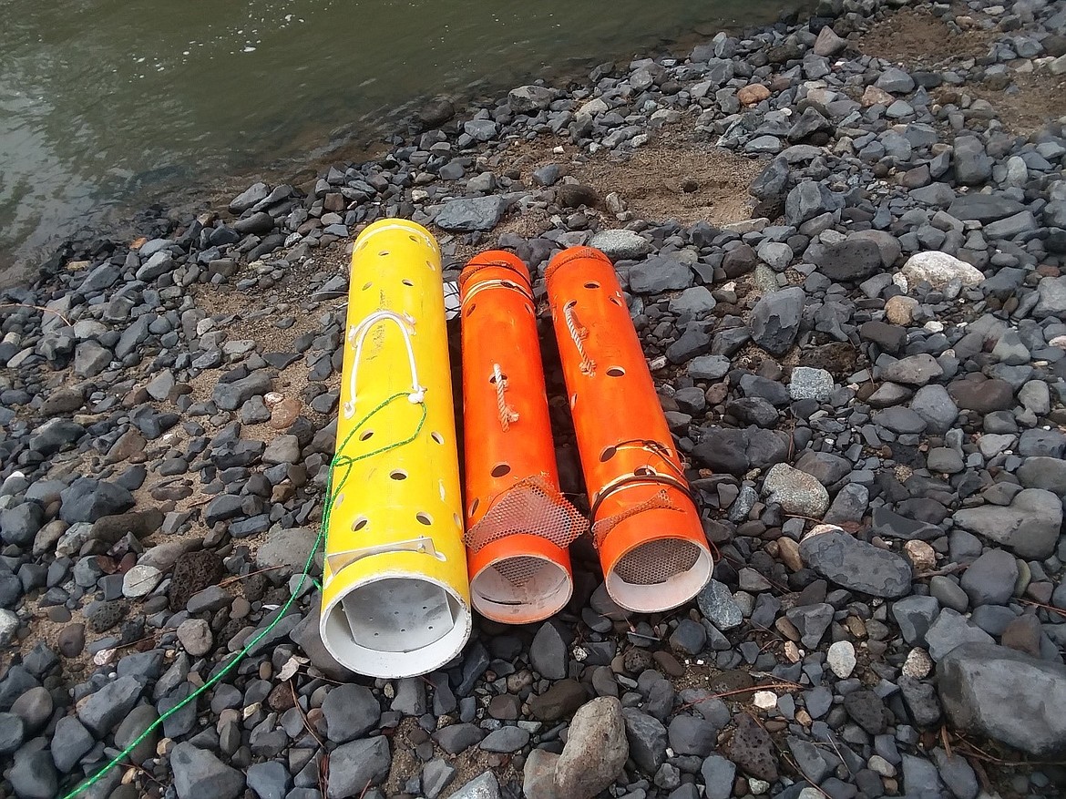 Through early April, Fish and Game staff will be out on the river from dawn to dusk, seven days a week, distributing tubes like these at popular fishing holes and signing up anglers interested in participating in the department's steelhead broodstock program.