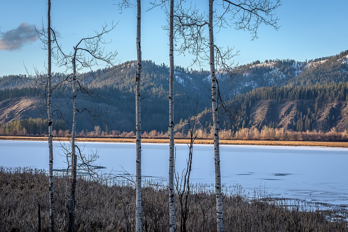 The sun shines on a frozen scene at Cave Lake.