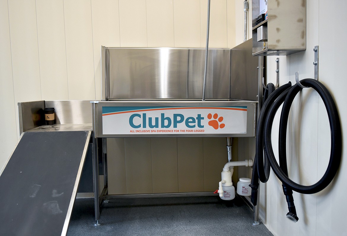 A pet wash station at the Whitefish Superwash. (Whitney England/Whitefish Pilot)